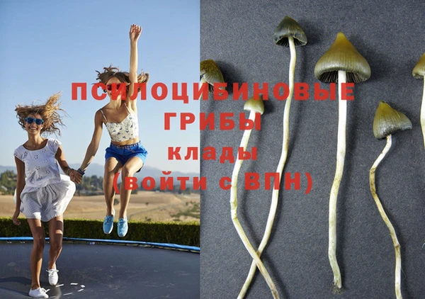 mdpv Балахна