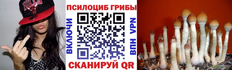 Галлюциногенные грибы GOLDEN TEACHER  нарко площадка как зайти  Воскресенск 
